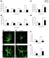 Fig. 11.4