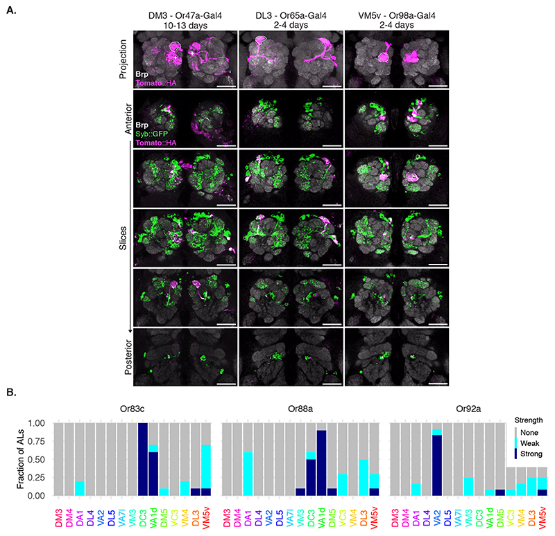 Extended Data Fig. 6