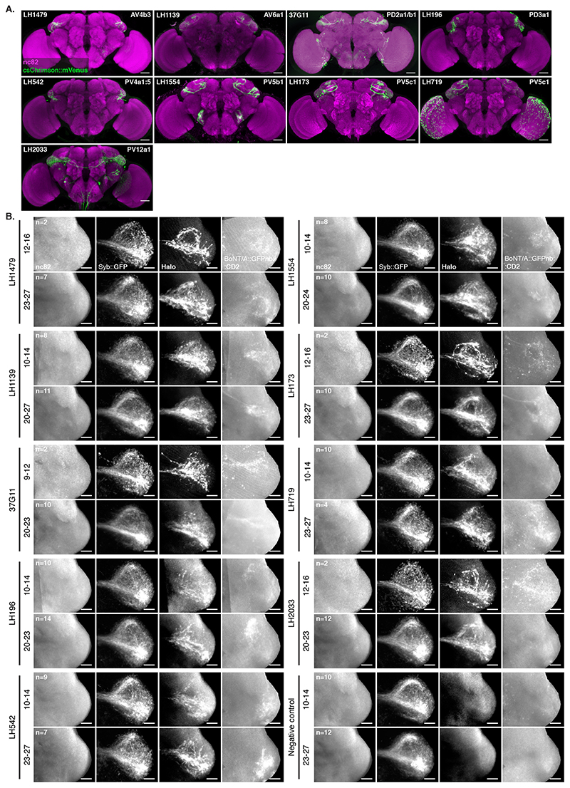 Extended Data Fig. 7