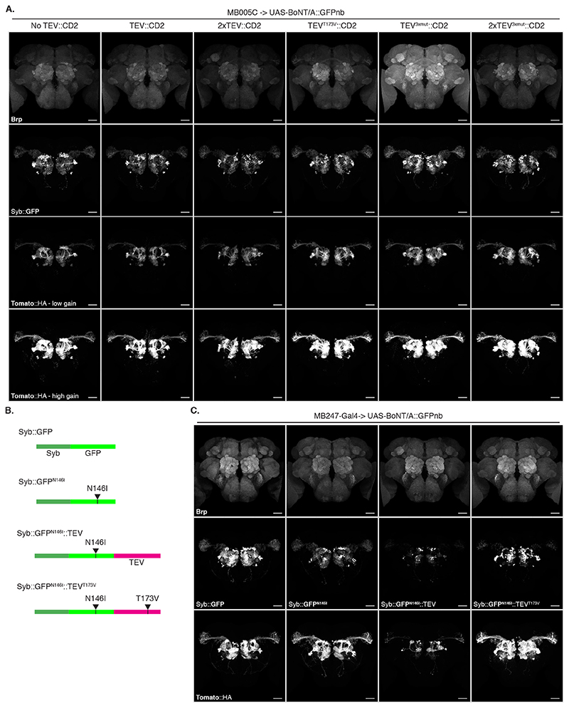 Extended Data Fig. 4