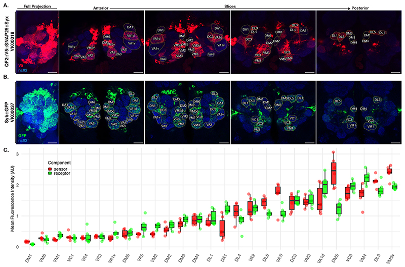 Extended Data Fig. 3