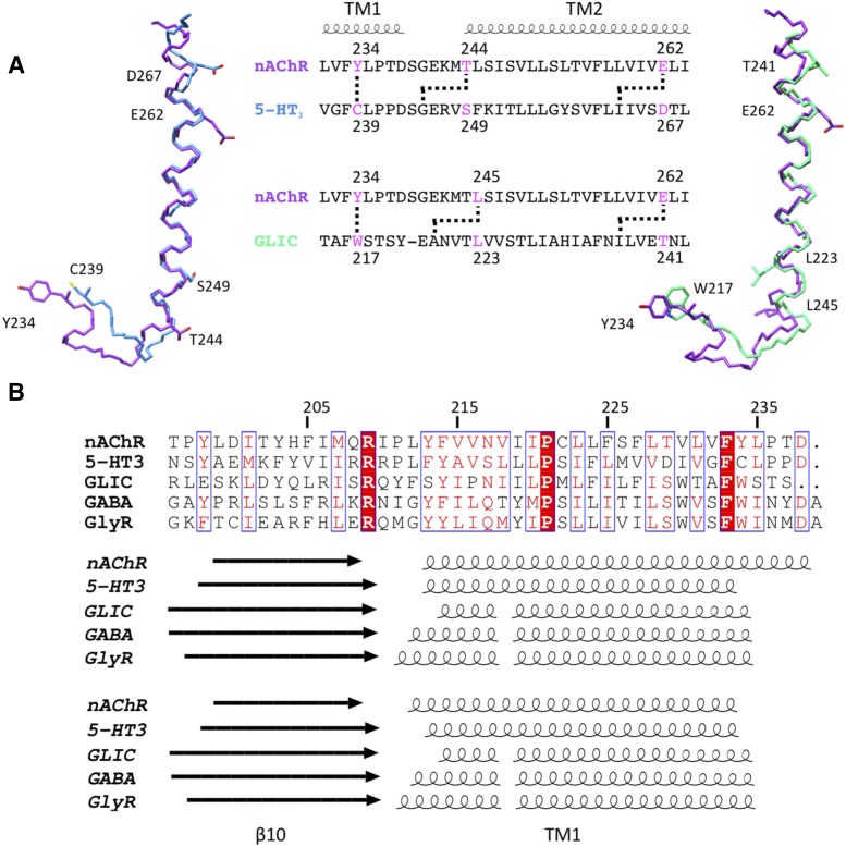 Fig. 8.