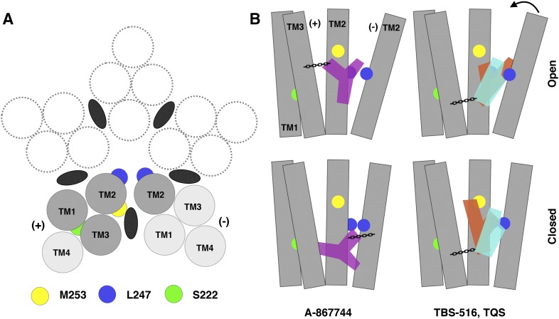 Fig. 10.