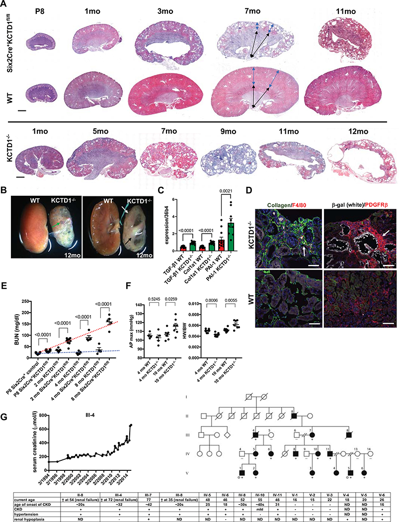 Figure 6: