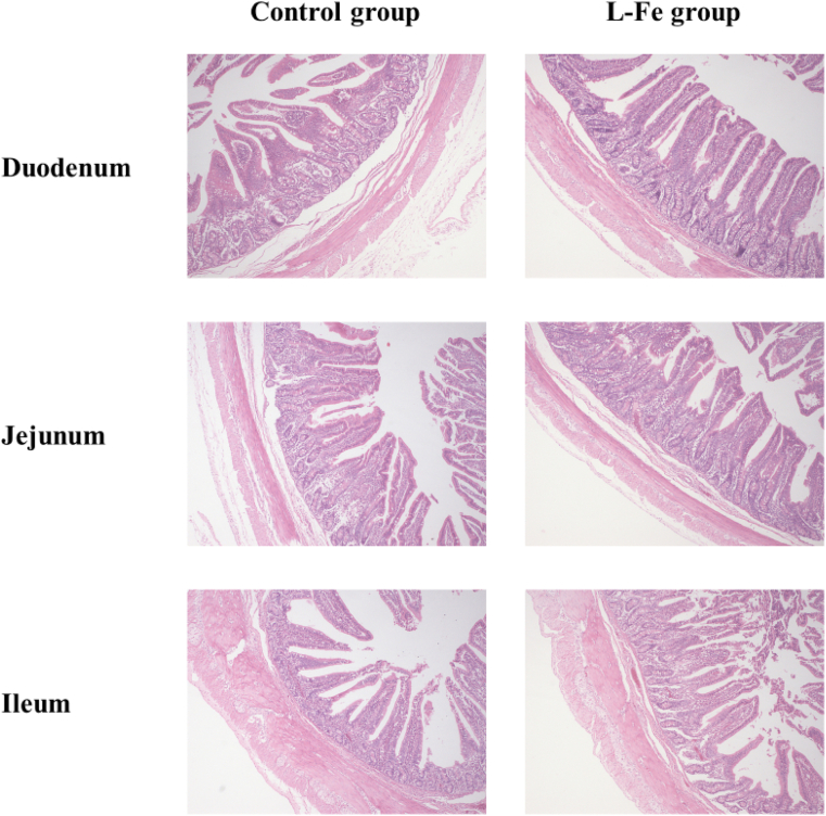Fig. 2