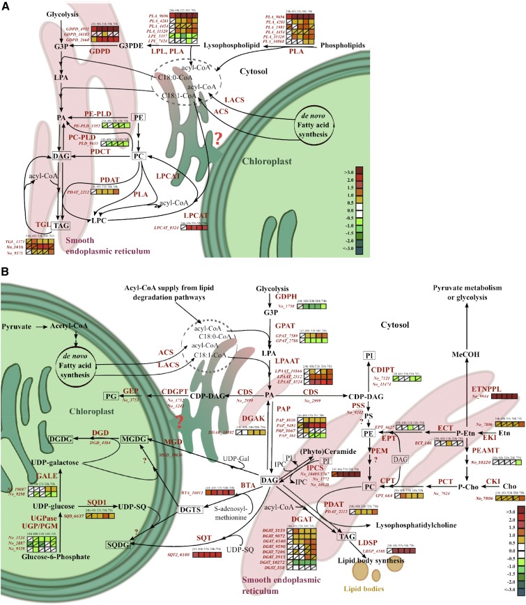 Figure 4.