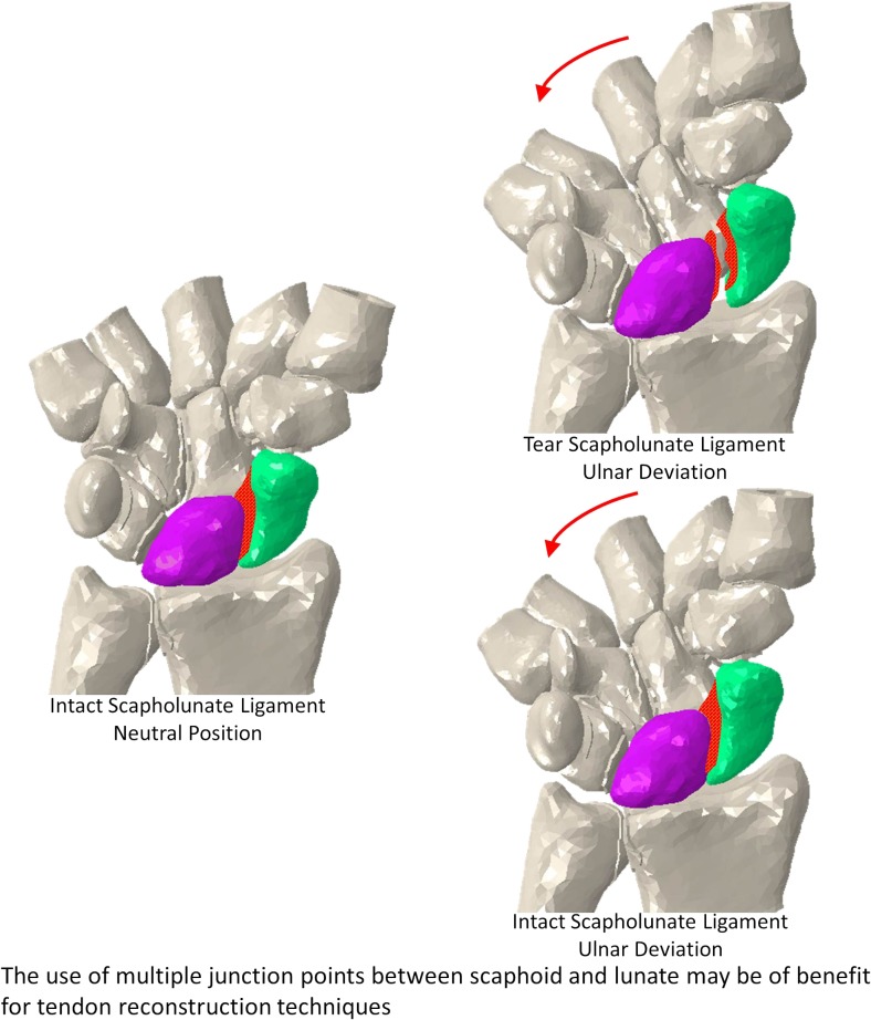 Graphical abstract