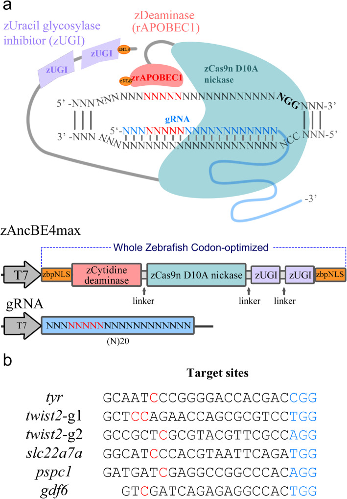 Fig. 1