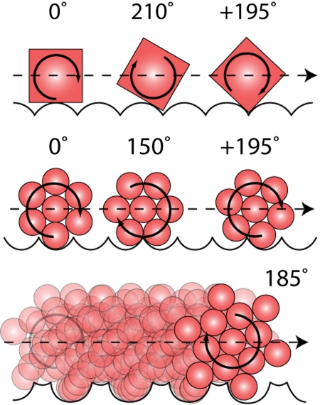 Fig. 3.