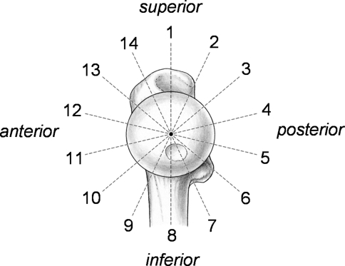 Fig. 5