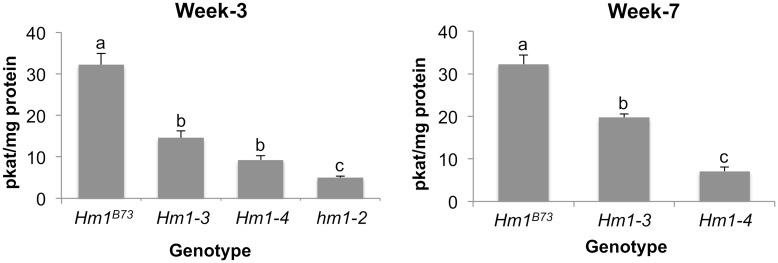 Fig 6