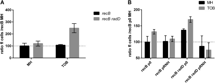 FIG 2