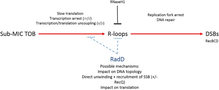 FIG 5