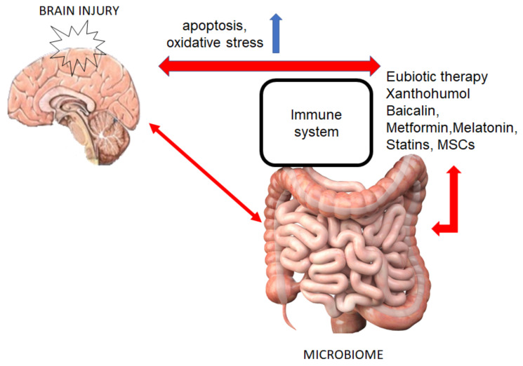 Fig. (1)