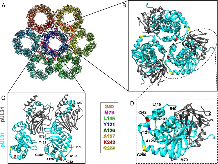 FIG 10