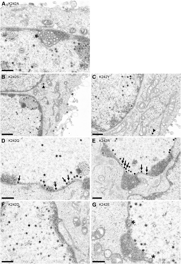 FIG 5