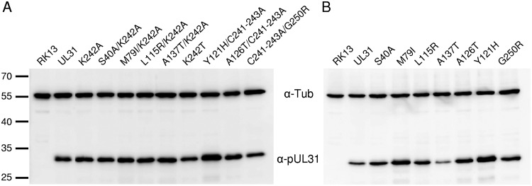 FIG 6