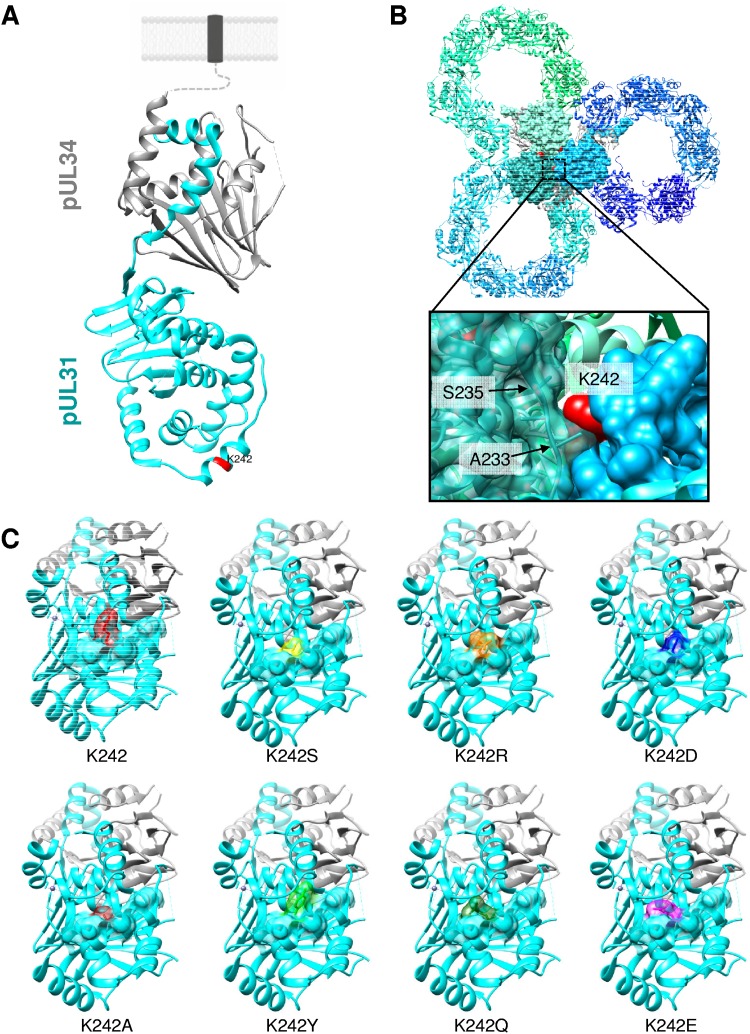 FIG 1