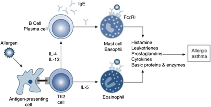 FIGURE 3