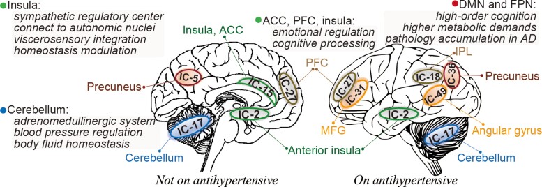 Graphical Abstract