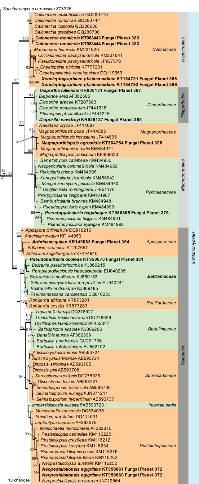 graphic file with name per-35-264-i002.jpg