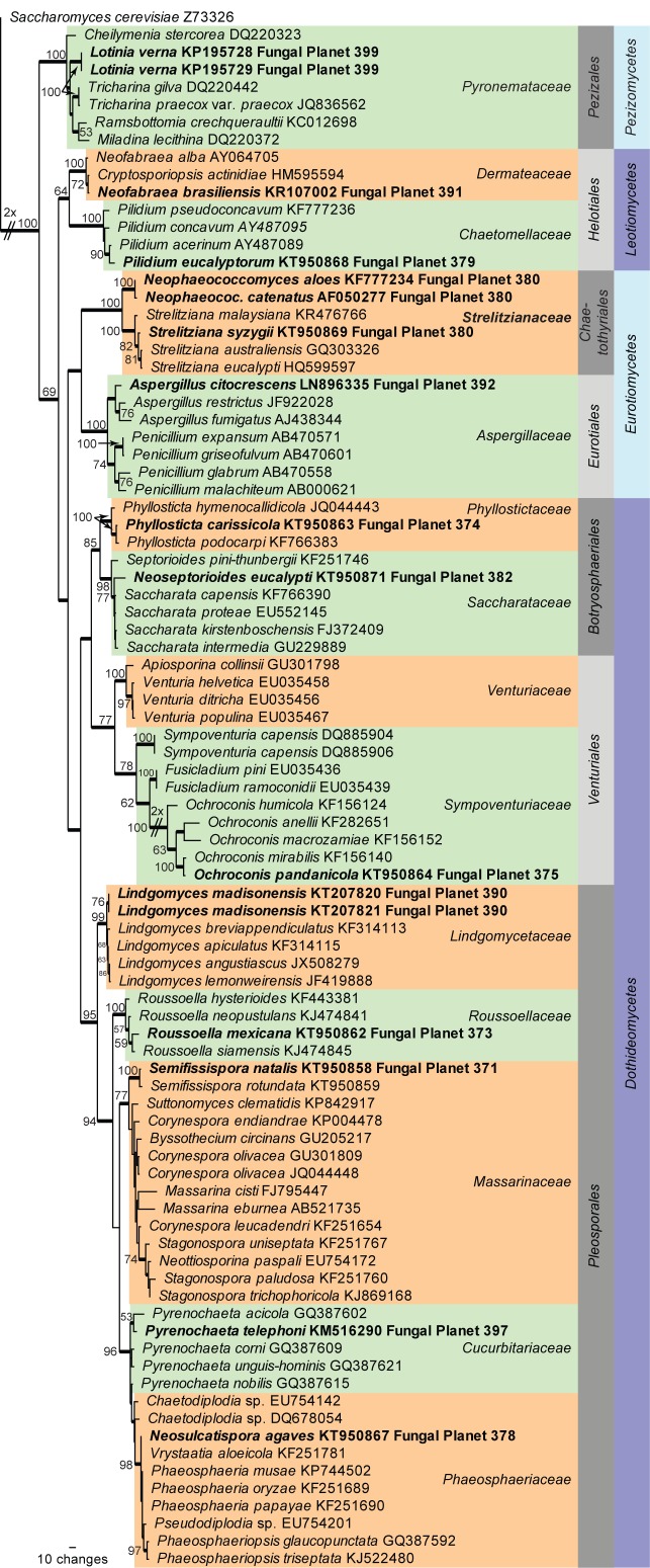 graphic file with name per-35-264-i003.jpg