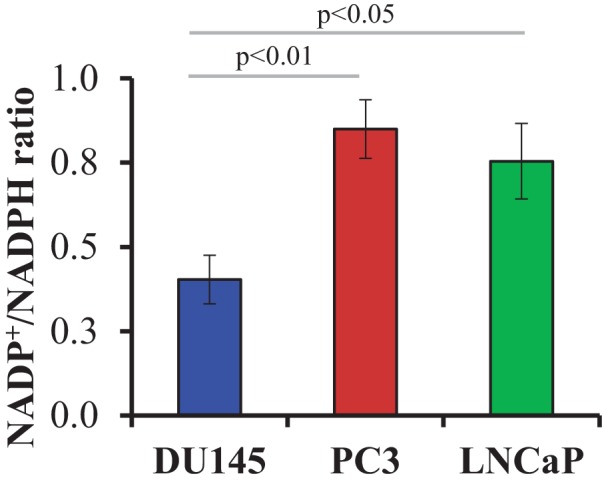 Figure 2—figure supplement 4.