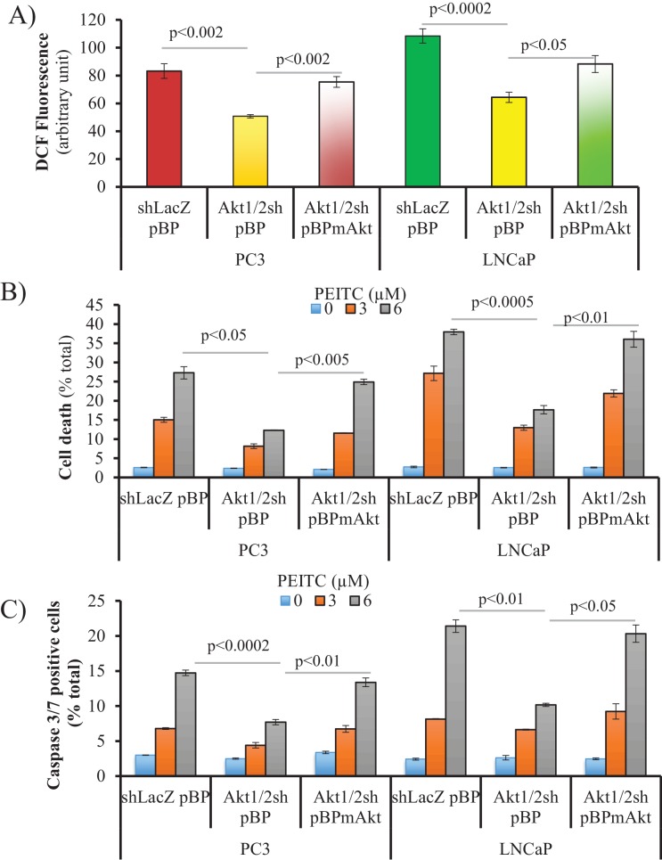 Figure 2—figure supplement 11.