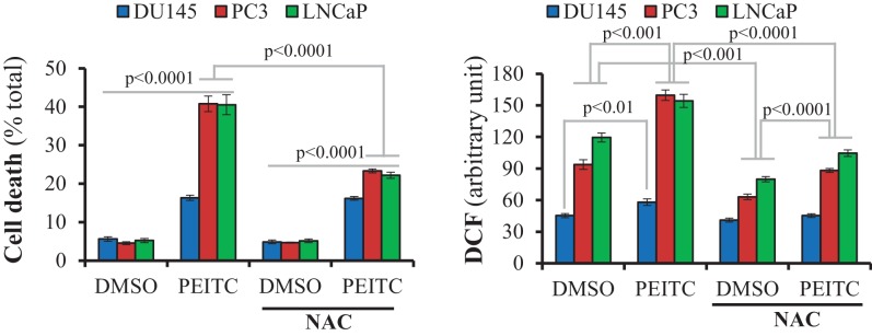 Figure 2—figure supplement 6.