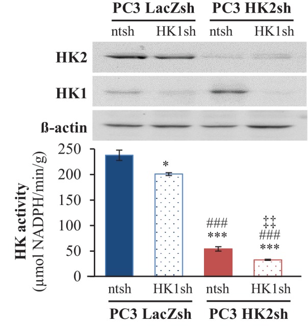 Figure 5—figure supplement 4.