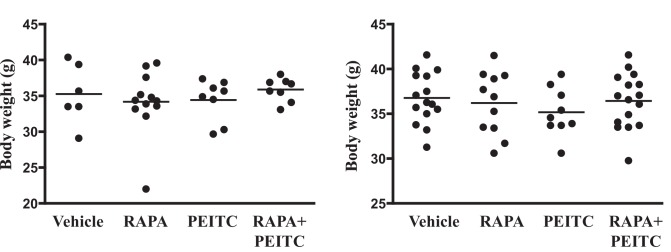 Figure 3—figure supplement 1.