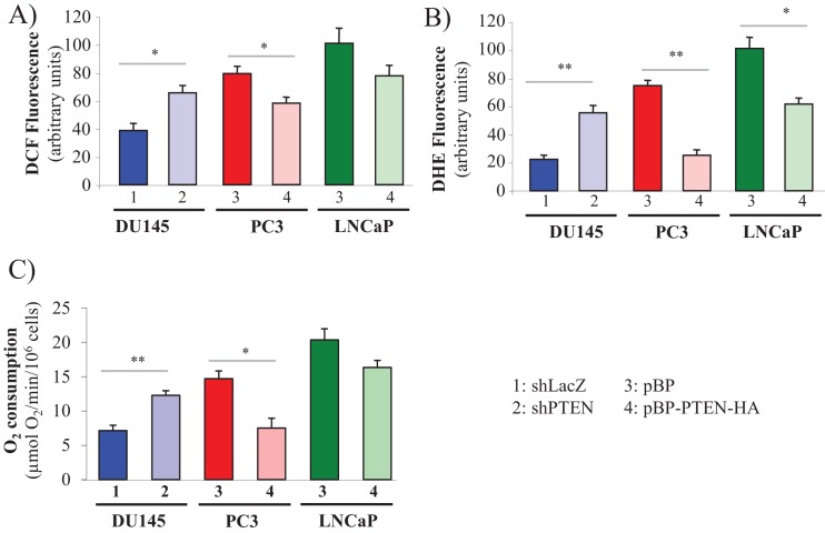 Figure 2—figure supplement 8.