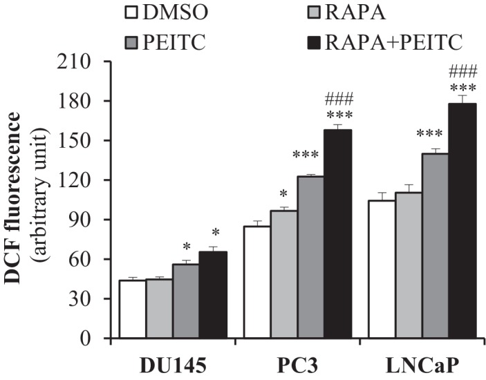 Figure 2—figure supplement 13.