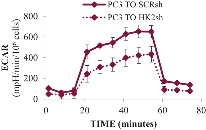 Figure 5—figure supplement 8.