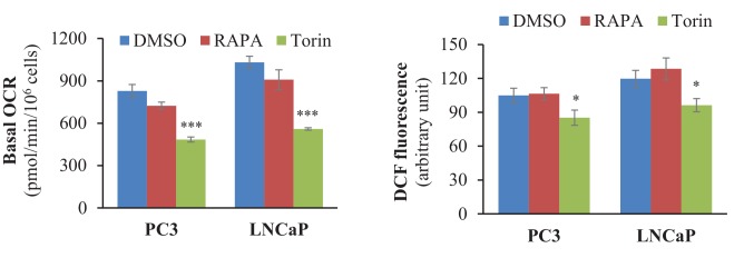 Figure 2—figure supplement 14.