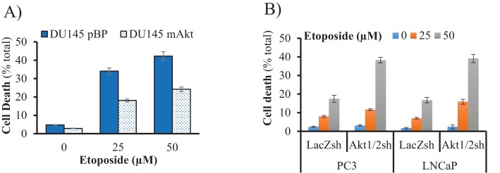 Figure 5—figure supplement 6.