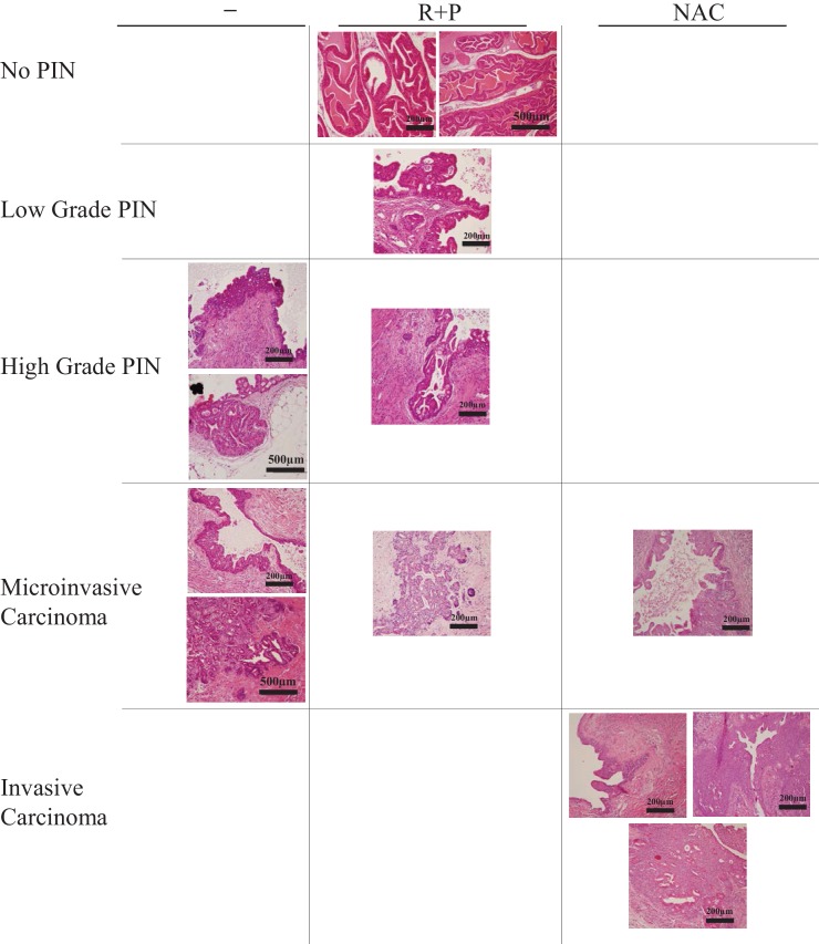 Figure 3—figure supplement 3.