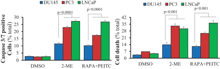 Figure 2—figure supplement 2.