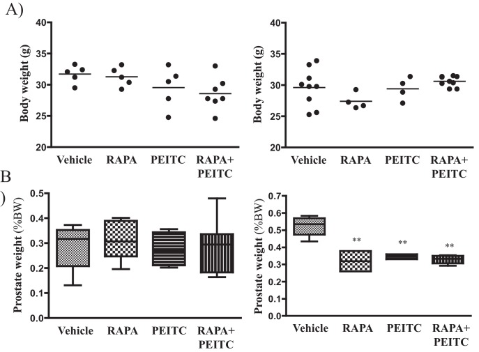 Figure 4—figure supplement 1.