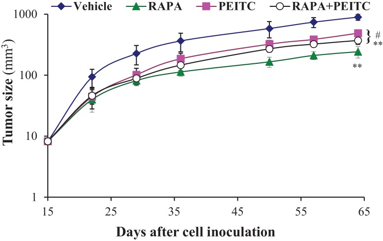 Figure 2—figure supplement 15.