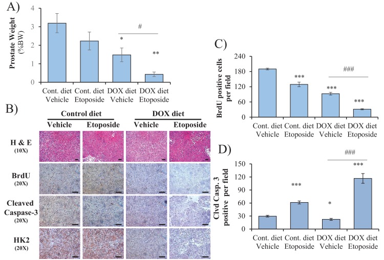 Figure 5—figure supplement 7.