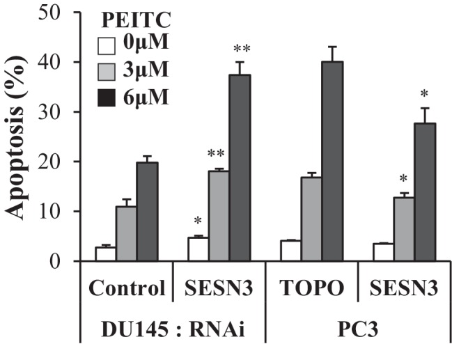 Figure 2—figure supplement 5.