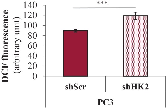 Figure 5—figure supplement 10.