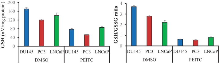 Figure 2—figure supplement 1.