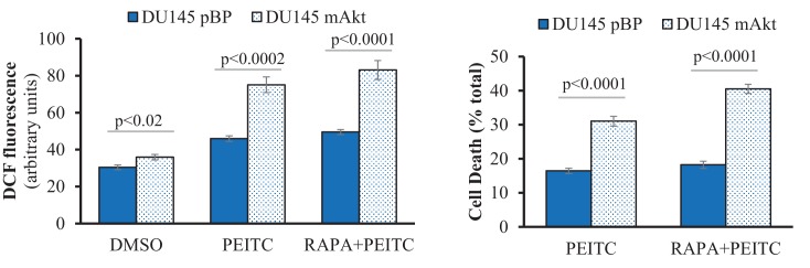 Figure 2—figure supplement 10.