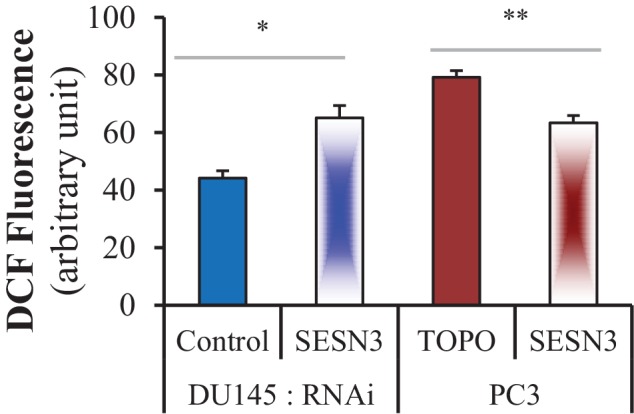 Figure 1—figure supplement 5.