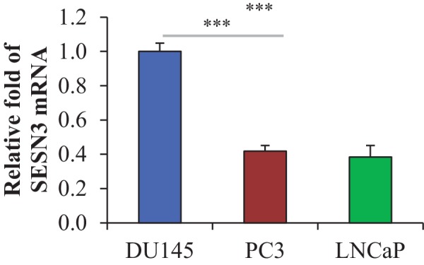 Figure 1—figure supplement 3.