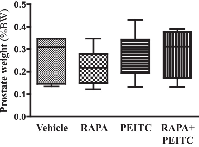 Figure 3—figure supplement 2.