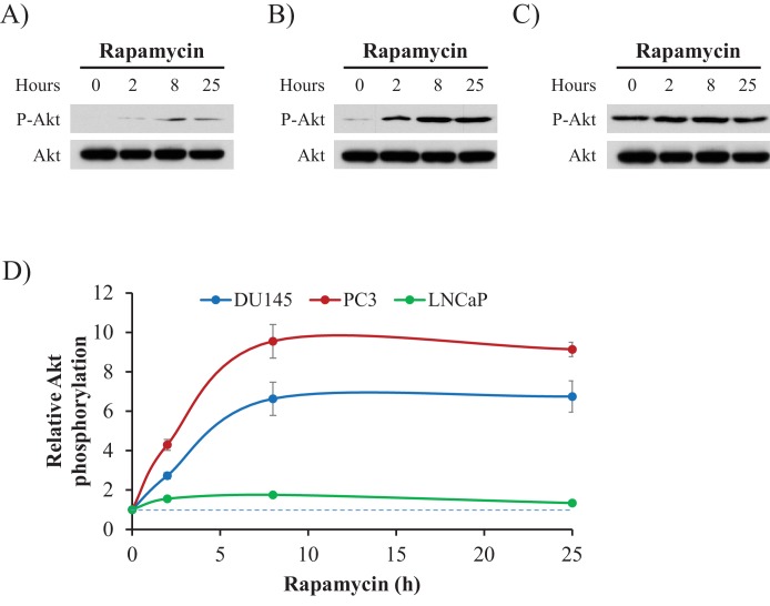 Figure 2—figure supplement 12.