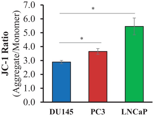 Figure 1—figure supplement 1.